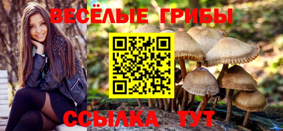 Галлюциногенные грибы MAGIC MUSHROOMS  Псилоцибиновые грибы Cubensis  Волжск  Вход с VPN 